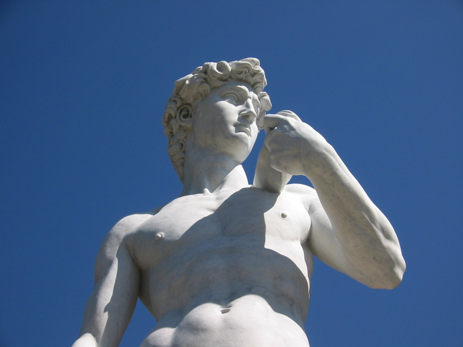 David-TopHalf